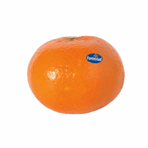 Mandarina G 'Fontestad'