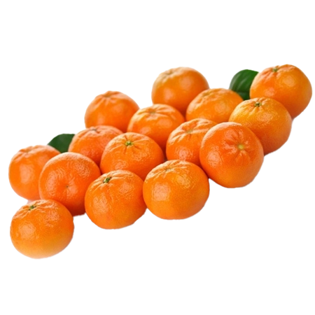 Clementinas-medianas-0007266_450