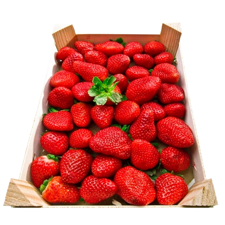 Fresón-Extra-Caja-de-1-Kilo-4-0009984_450 (1)