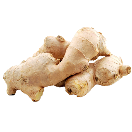 Jengibre-fresco-0008168_450