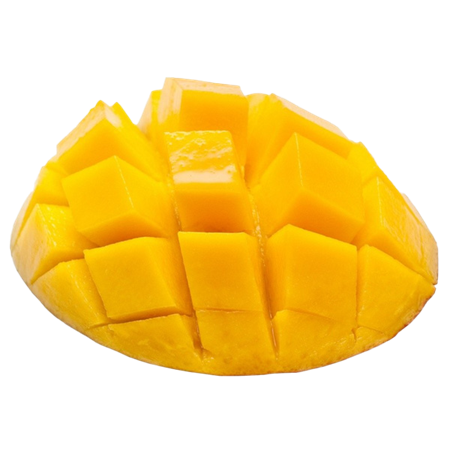 Mango-Extra-0007310_450