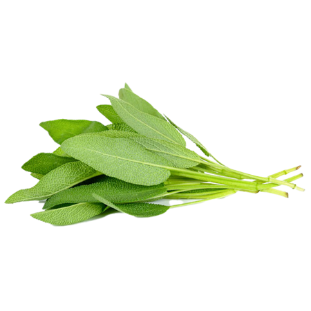 Manojo-de-Salvia-1-0008802_450