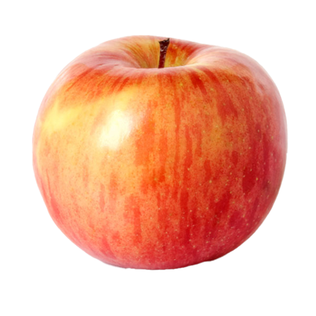 Manzana-Fuji-6-0008446_450