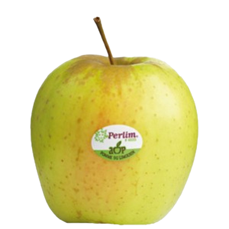 Manzana-Golden-Extra-PERLIM-0007349_450