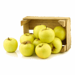 Manzana Golden (Cal 24)