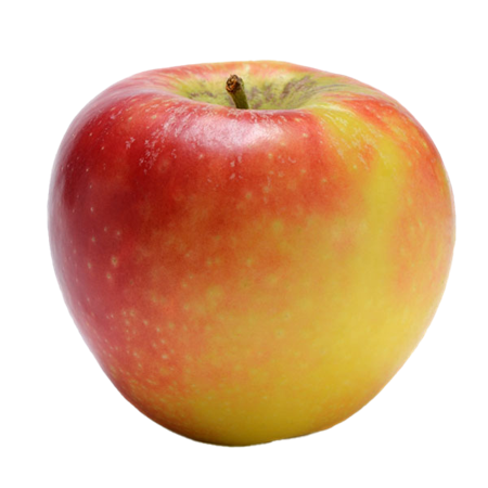 Manzana-Kanzi-1-0008448_450