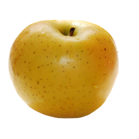 Manzana-Reineta-Chantecler-1-0009426_450