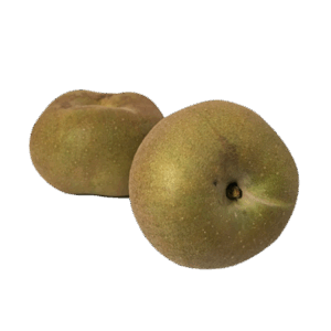 Manzana Reineta Parda G