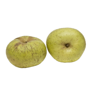 Manzana Reineta Mediana