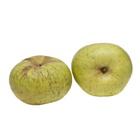 Manzana-reineta-mediana-1-0008678_450