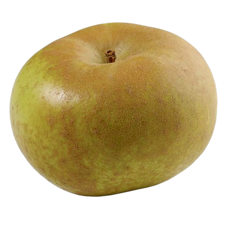 Manzanas-Reineta-Extra-0007362_450