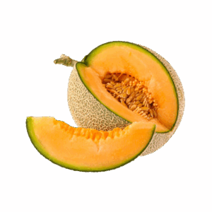 Melón Cantalupo
