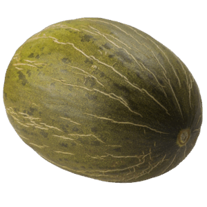 Melón Extra - Seleccion Oro