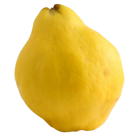 Membrillos-0007434_450