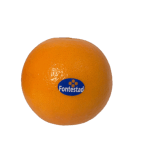 Naranja de Mesa Fontestad