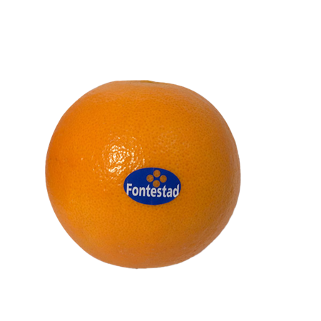 Naranja-de-mesa-Fontestad-2-0008719_450