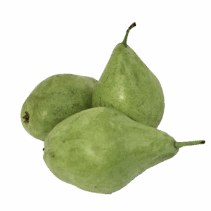 Pera Blanquilla (Cal. 24)
