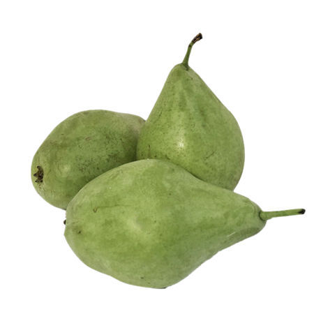 PERA-BLANQUILLA-1-0008645_450