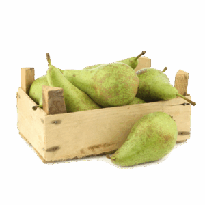 Pera Conferencia (Cal. 24)