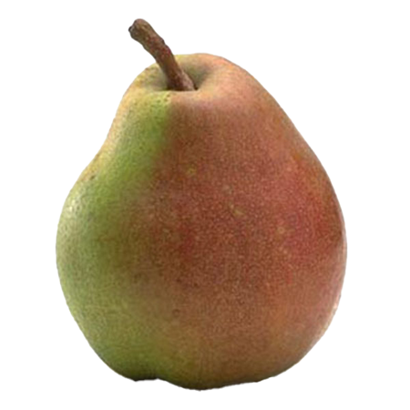 Peras-de-Comicio-0009062_450