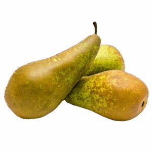 Peras de Conferencia Extra