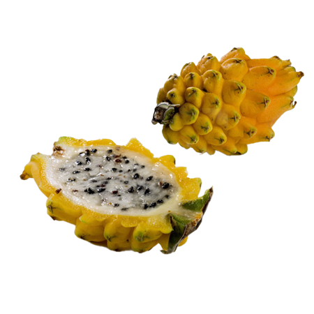 Pitahaya-amarilla-1-0008911_450