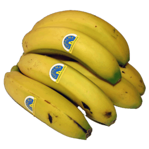 Plátano de Canarias