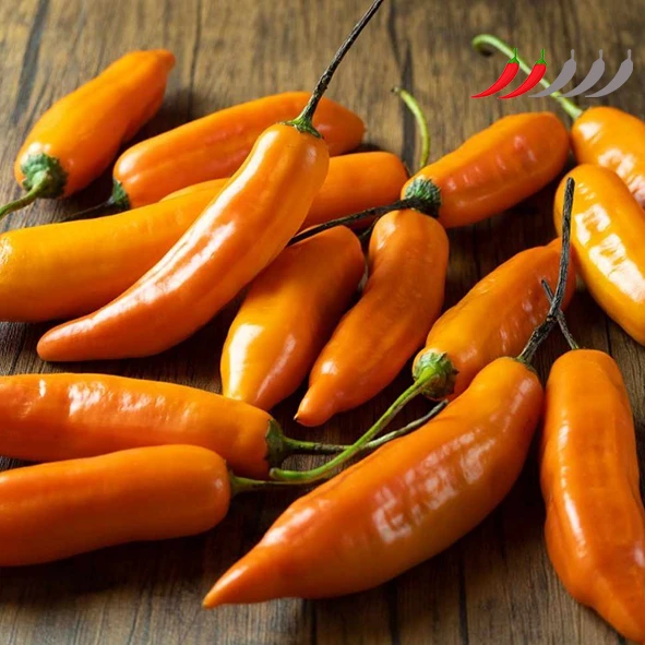 aji-amarillo-cuadrada1-e5734d45366598d79316102046574475-640-0