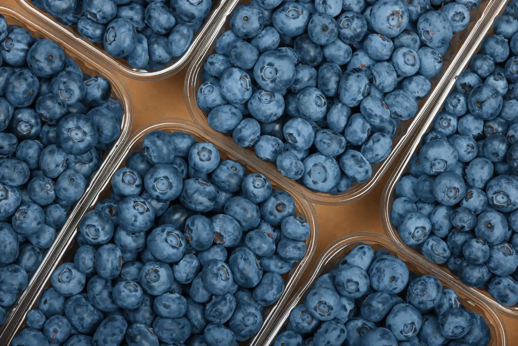 close-up-fresh-blueberry-in-container-2025-03-08-22-27-08-utc (1)