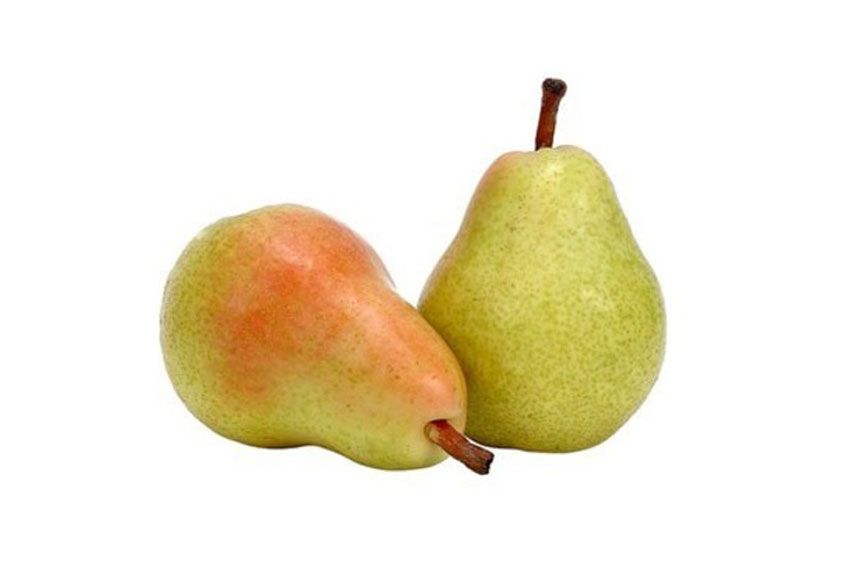 pera-ercolina-temporada