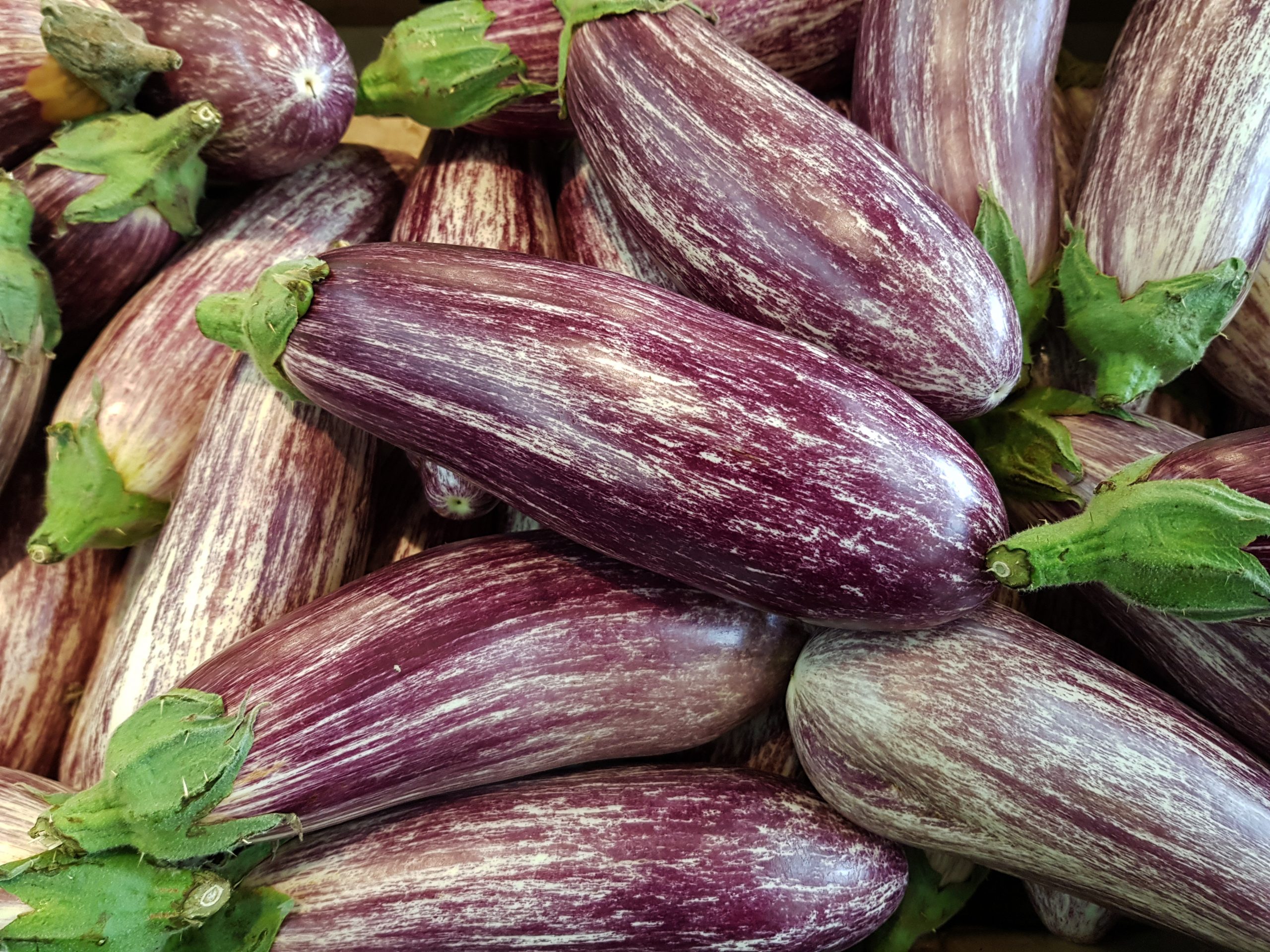 AdobeStock_500237008-scaled