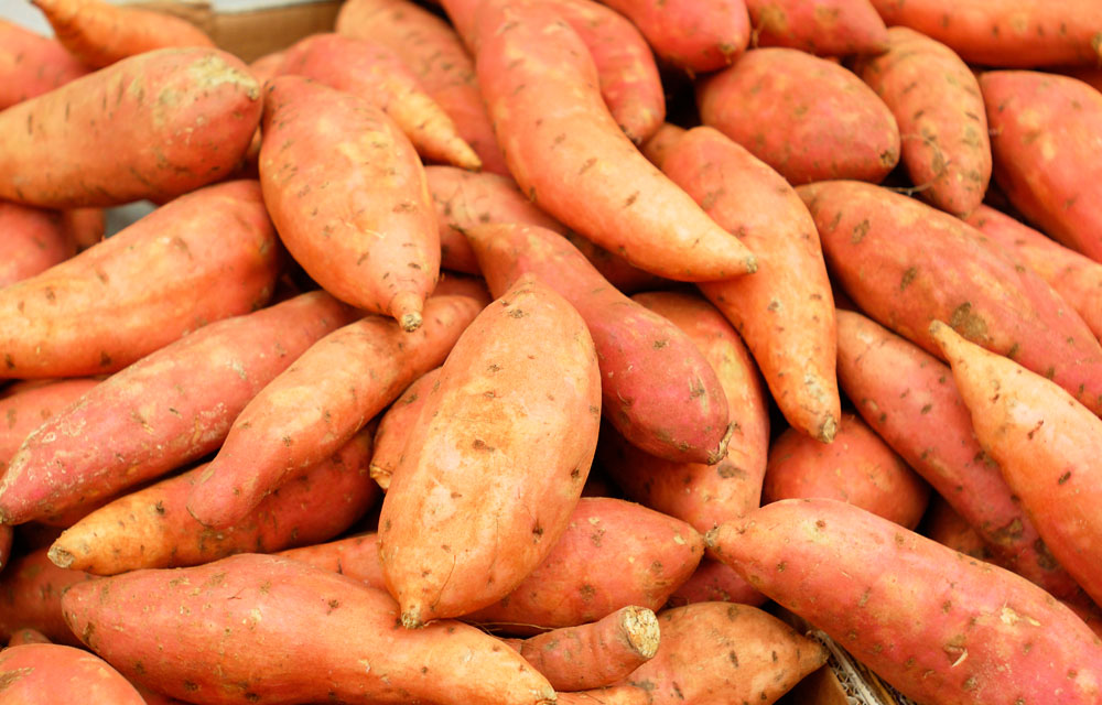 boniato-de-piel-amarilla