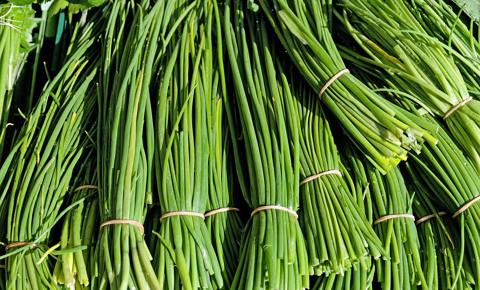 chives-cebollino