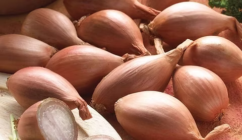 d03004_0d7ff4f181f34a6aa0c74a9ef7997e8f~mv2