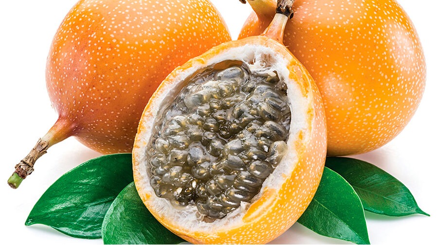 142-imagen-182132332020