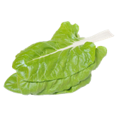 Acelgas-frescas-0007613_175