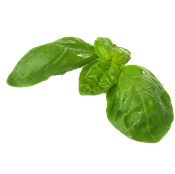 Albahaca Fresca Manojo