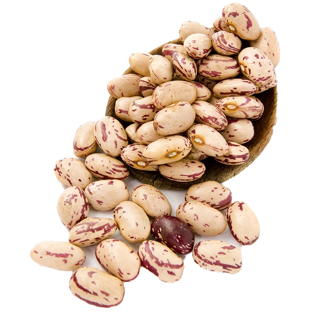 Alubia-Pinta-0007868_450