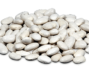 Alubia Plancheta de Leon