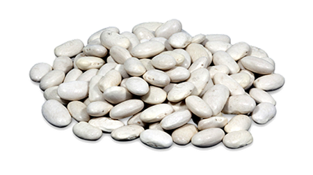 Alubia-Plancheta-de-Leon-2-0010428_450