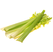 Apio-fresco-0007683_175