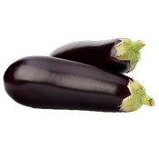 Berenjenas-Negras-0007546_175