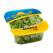 Berros-1-0008304_175