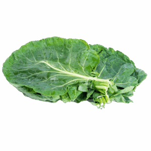 Berzas frescas manojo