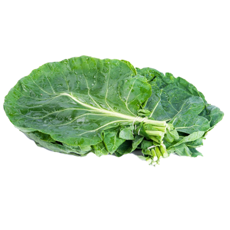 Berzas-frescas-manojo-0007617_450