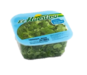 Canónigos-5-0010172_175