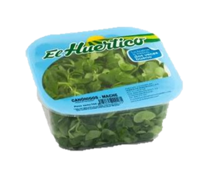 Canónigos-5-0010172_450