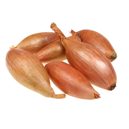 Cebollas-Chalotas-0007763_450