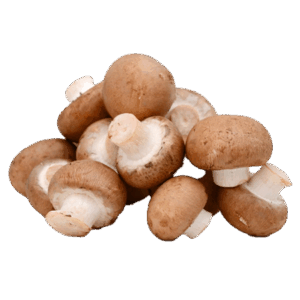 Champiñón Portobello