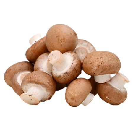 Champiñón-Portobello-1-0008812_450